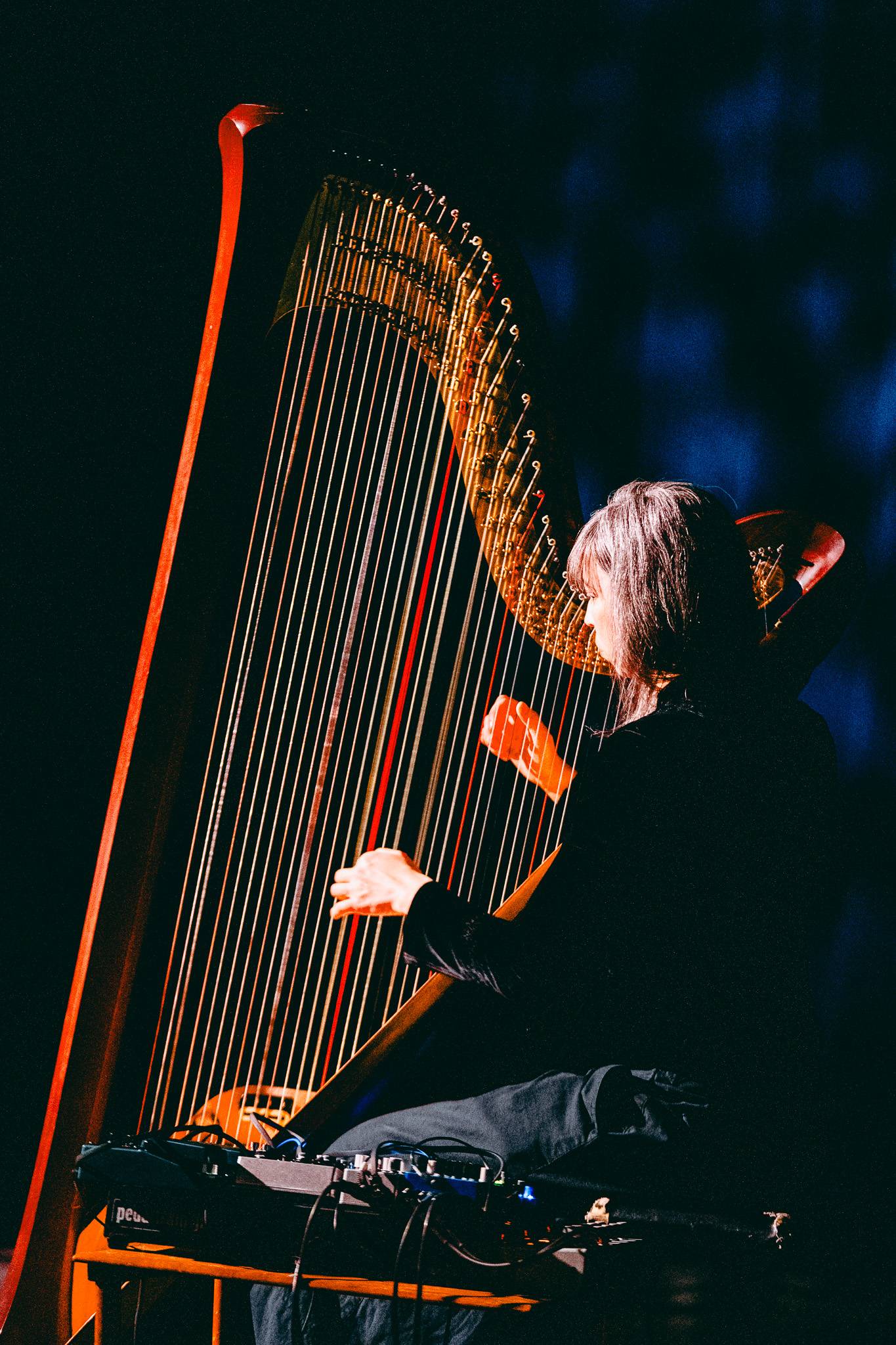 Nadah el Shazly performing at Riverside Theatre with a harp. Photo by Alyssa Leicht.